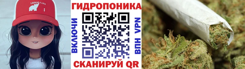 Где купить Бакал Псилоцибиновые грибы Канабис СОЛЬ