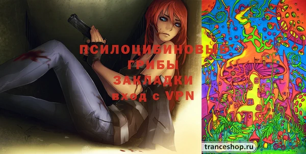 apvp Магадан