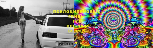 дживик Магас