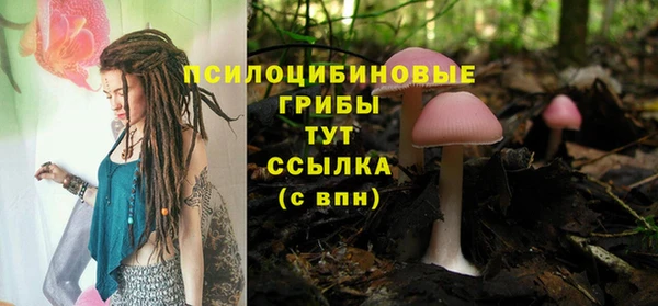 дживик Магас