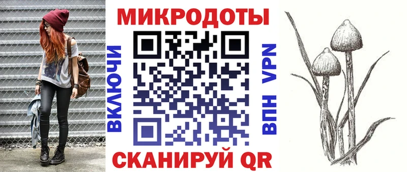 Галлюциногенные грибы Psilocybine cubensis  Бакал 