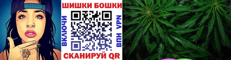 где можно купить   Бакал  Конопля индика 